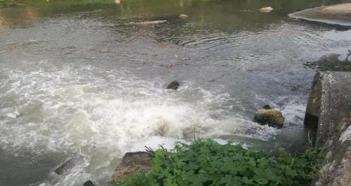 资料图:市污水处理厂大量污水溢流至萍水河。 图片来源:生态环境部