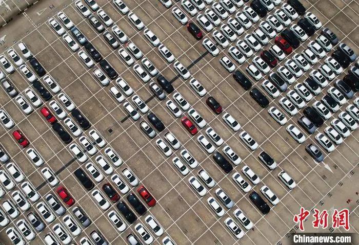 资料图：航拍在上海外高桥港区海通汽车码头等待出口的整车。殷立勤 摄
